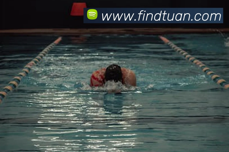 k1体育app官方官网发展历程